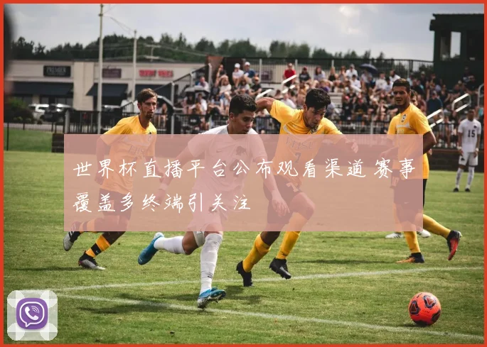 世界杯直播平台公布观看渠道 赛事覆盖多终端引关注