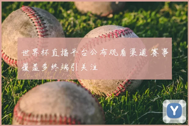 世界杯直播平台公布观看渠道 赛事覆盖多终端引关注