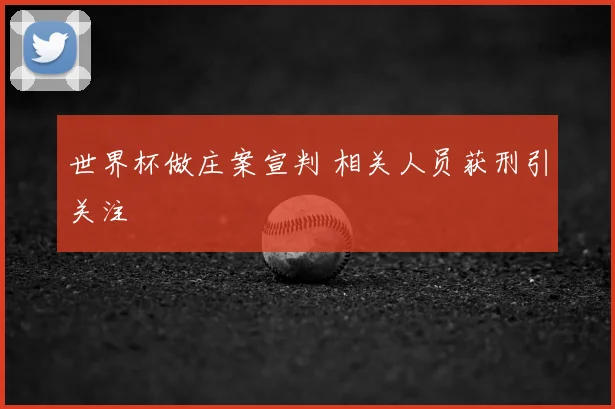 世界杯做庄案宣判 相关人员获刑引关注