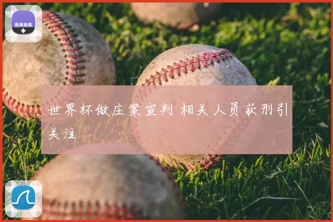 世界杯做庄案宣判 相关人员获刑引关注