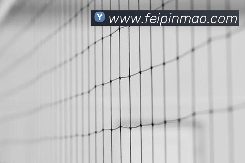 bat365最新登录发展历程